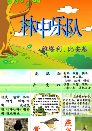 林中乐队课件