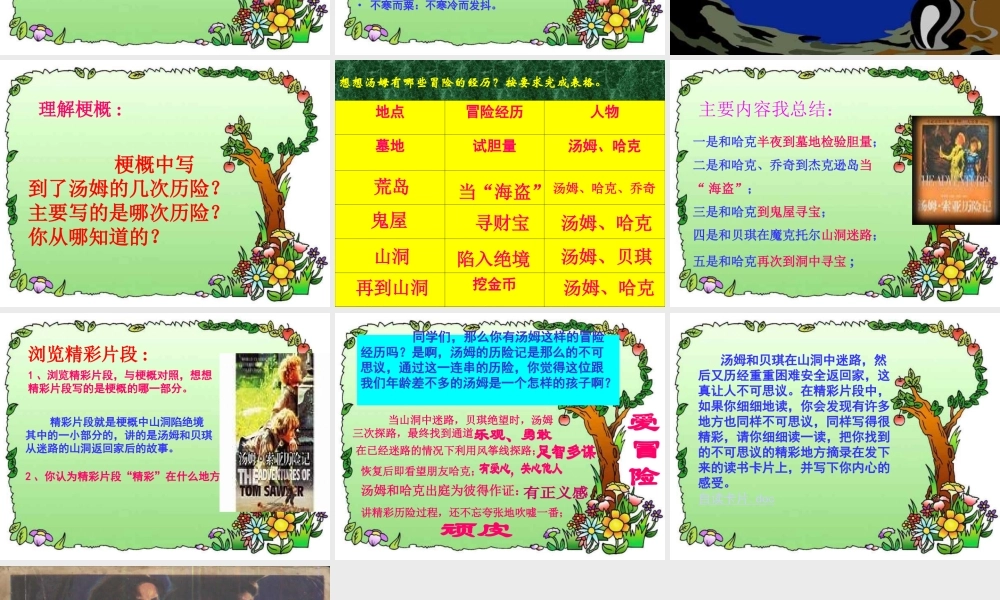 《汤姆。索亚历险记》课件