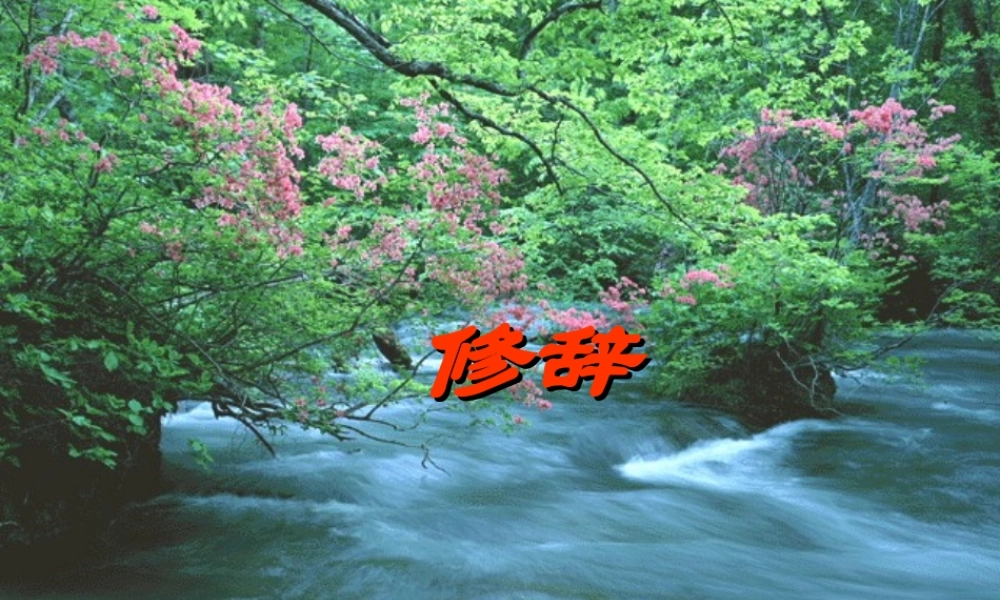 五年级语文上册修辞的复习