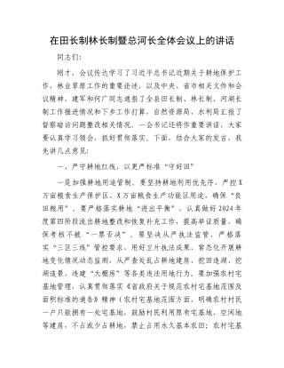 在田长制林长制暨总河长全体会议上的讲话
