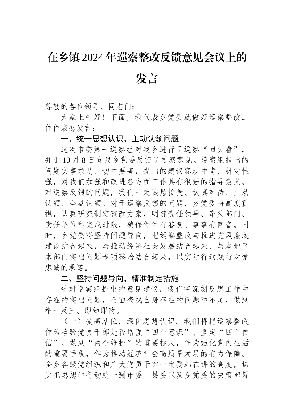 在乡镇2024年巡察整改反馈意见会议上的发言_第1页