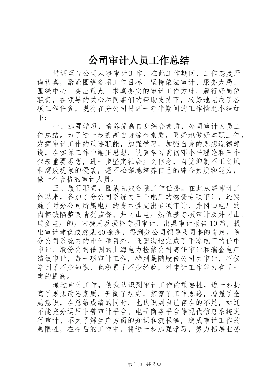 公司审计人员工作总结_第1页