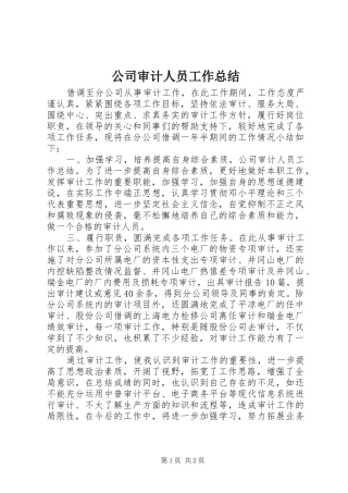 公司审计人员工作总结