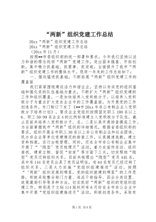 “两新”组织党建工作总结