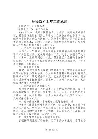乡民政所上年工作总结_1