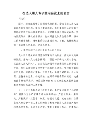 在选人用人专项整治会议上的发言