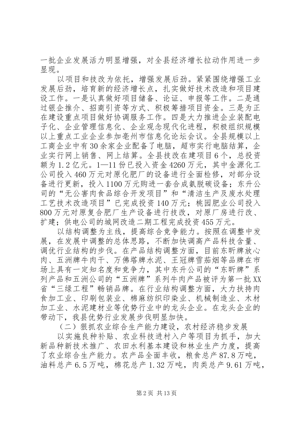 县政府工作总结_1_第2页