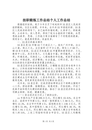 挂职锻炼工作总结个人工作总结