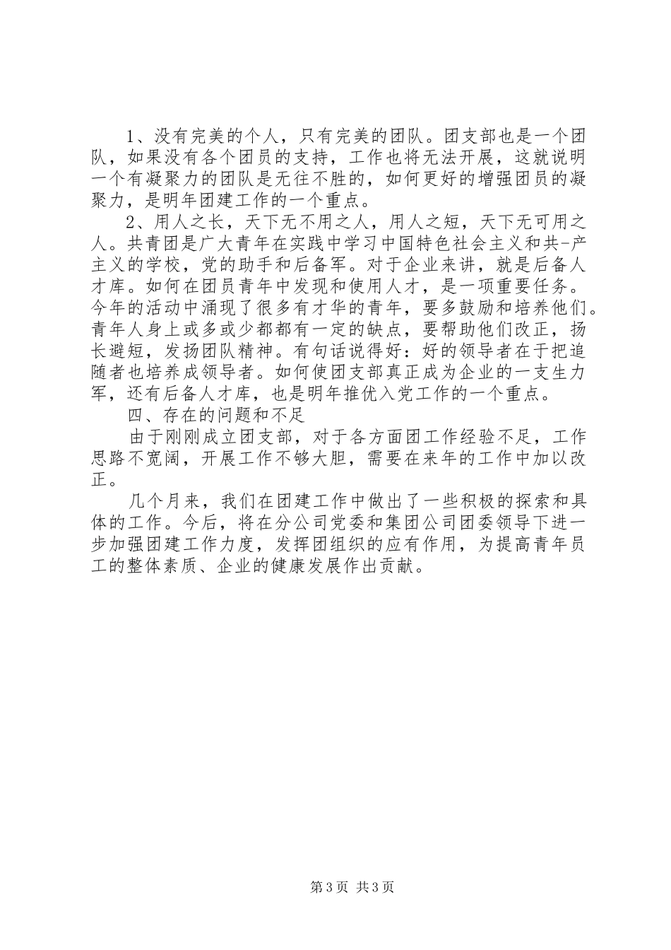 企业团支部年终总结范文_第3页