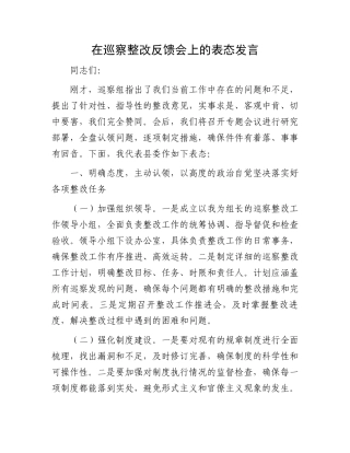 在巡察整改反馈会上的表态发言