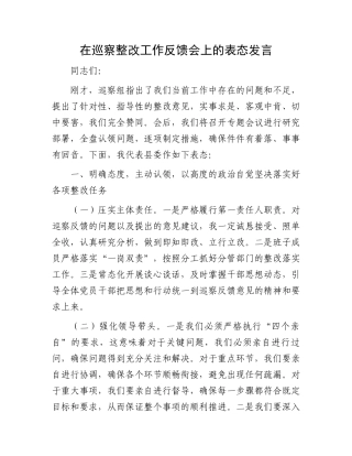在巡察整改工作反馈会上的表态发言