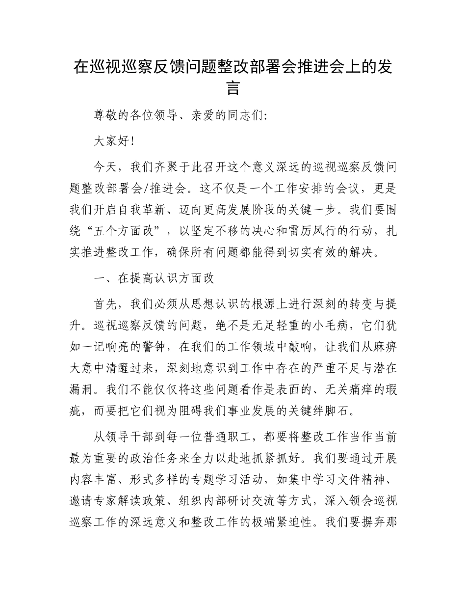 在巡视巡察反馈问题整改部署会推进会上的发言_第1页