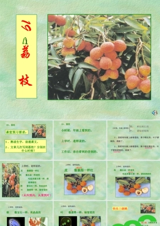 六年级语文上册《荔枝》_(1)
