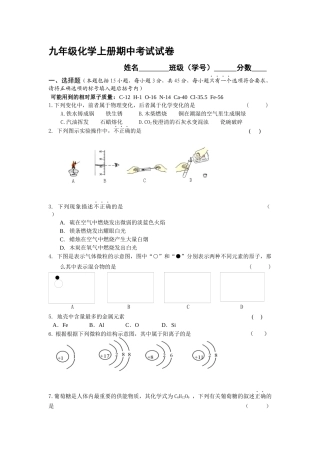 九年级化学上册期中考试试卷