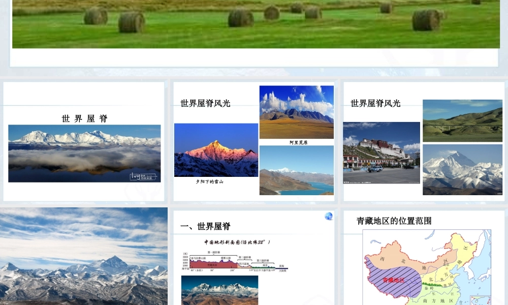 新人教标准实验版八年级地理下册第九章_青藏地区__第一节__自然特征与农业