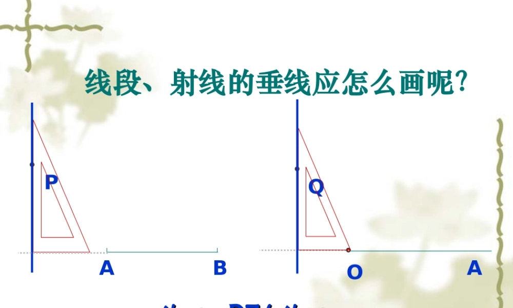 垂线(第课时)()