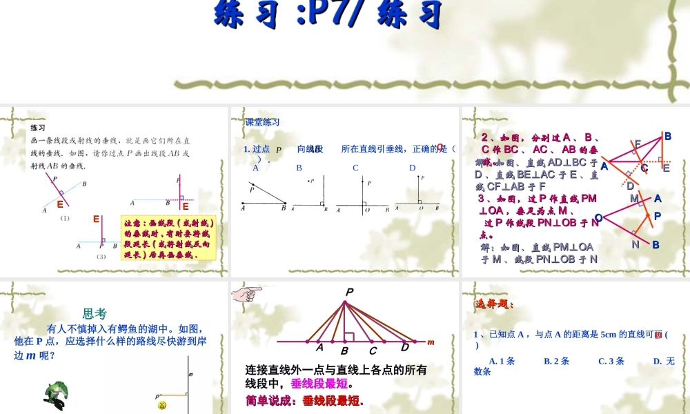 垂线(第课时)()