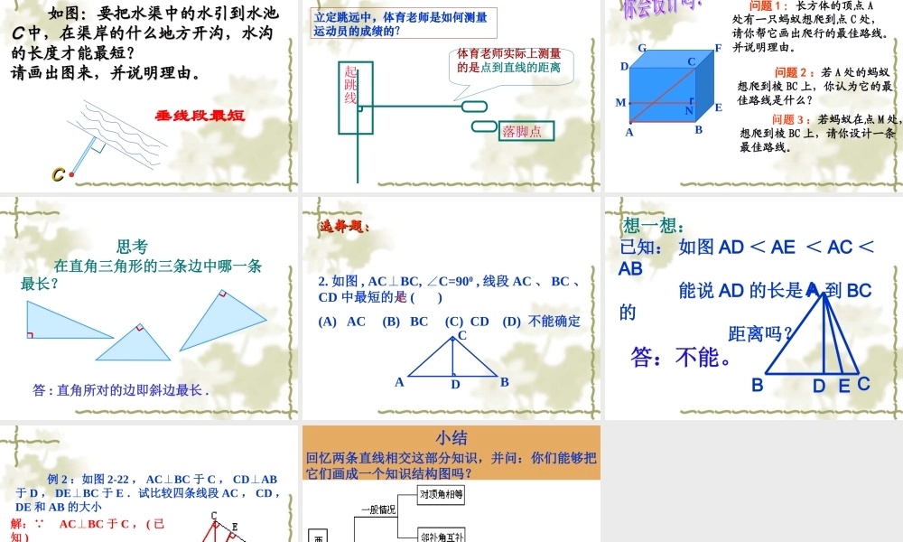 垂线(第课时)()