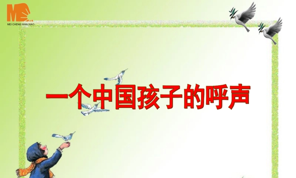 一个中国孩子的呼声(二期课改教材)