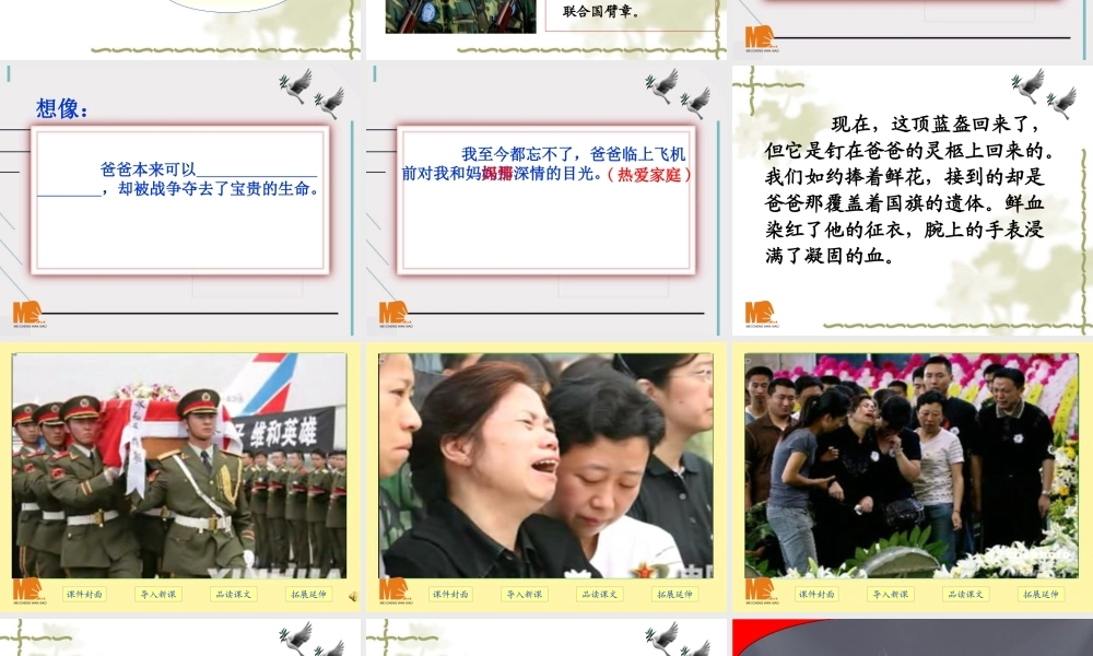 一个中国孩子的呼声(二期课改教材)