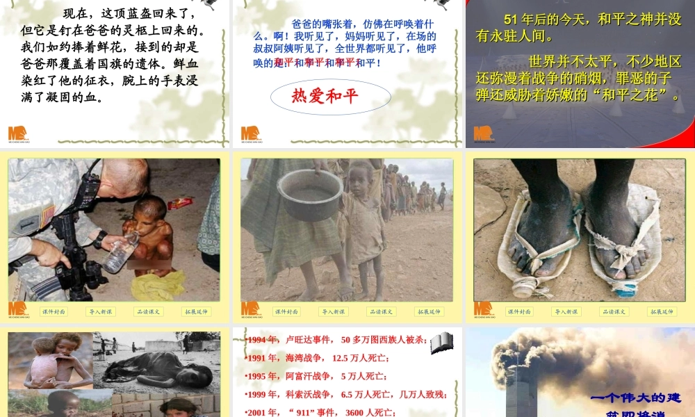 一个中国孩子的呼声(二期课改教材)