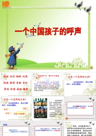 一个中国孩子的呼声(二期课改教材)