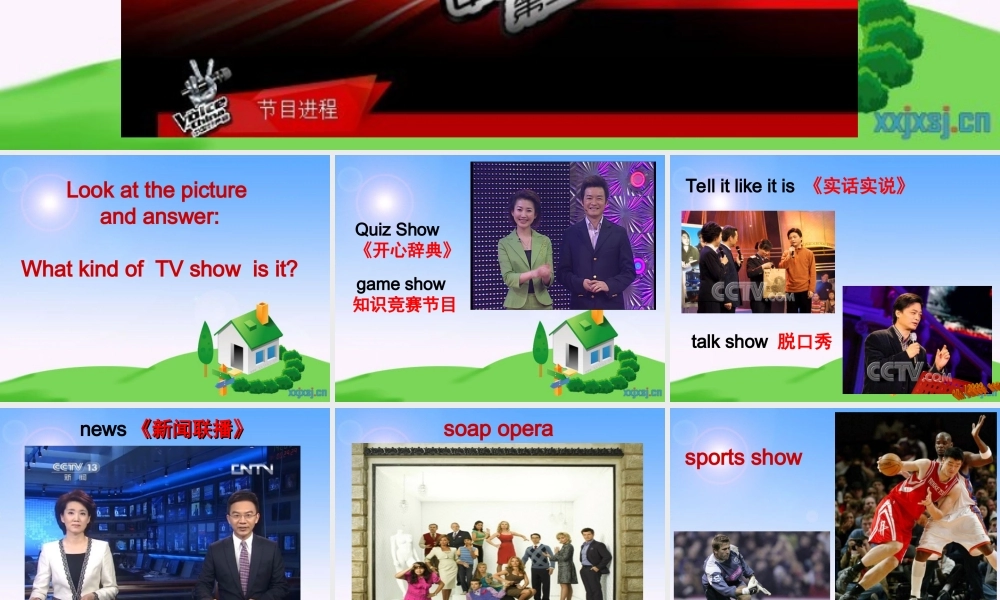 2013年人教版新目标八年级上Unit5DoyouwanttowatchagameshowSectionA课件