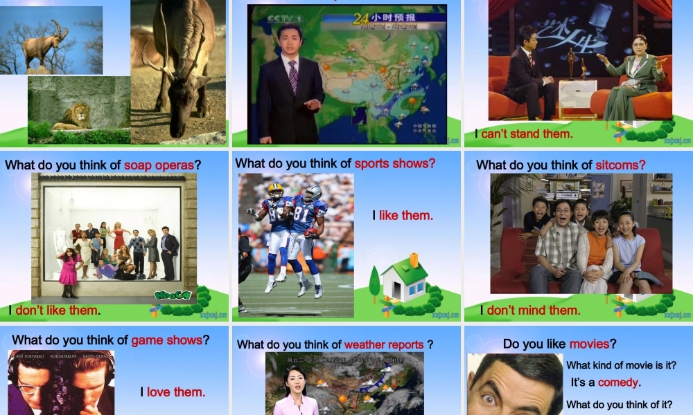 2013年人教版新目标八年级上Unit5DoyouwanttowatchagameshowSectionA课件