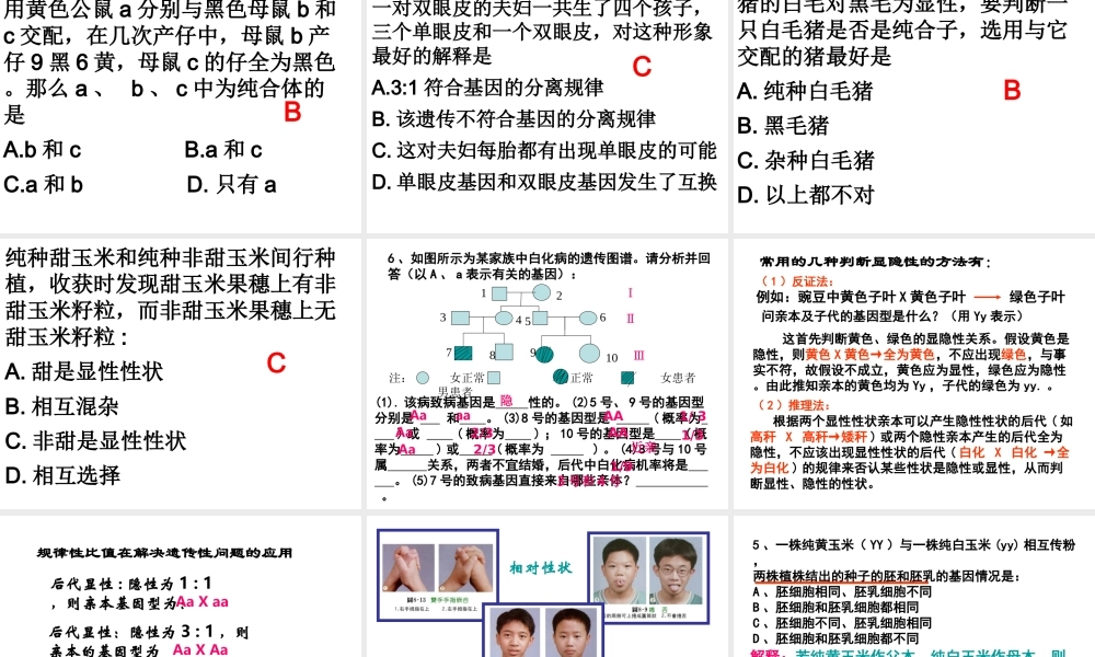 孟德尔的豌豆杂交实验一