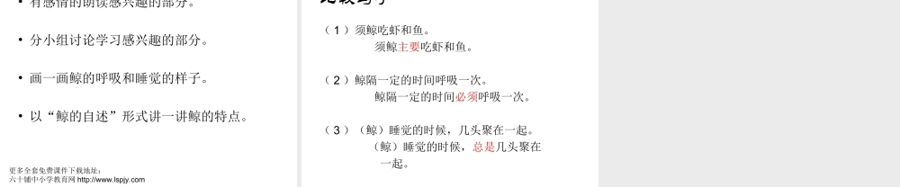 小学五年级上册语文第九课鲸PPT课件2