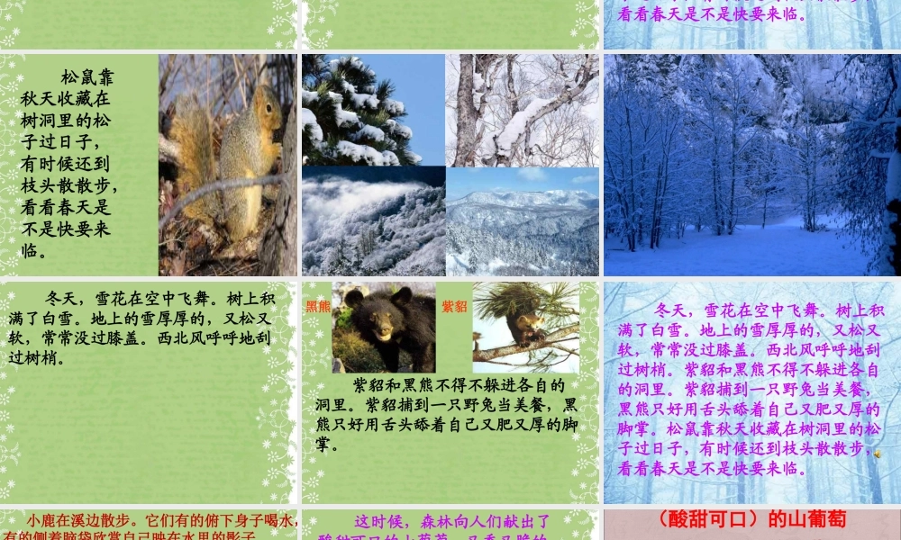 美丽的小兴安岭 