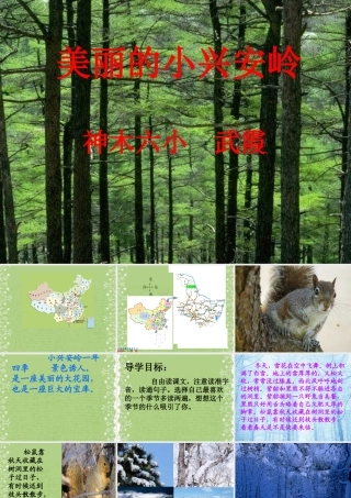 美丽的小兴安岭 