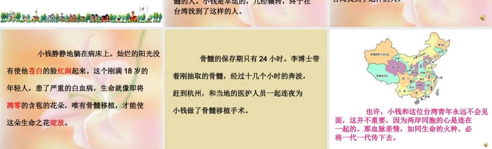 跨越海峡的生命桥PPT课件