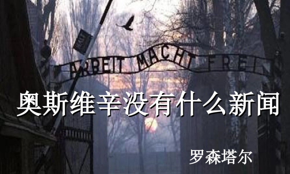 奥斯威辛没有什么新闻骨干版