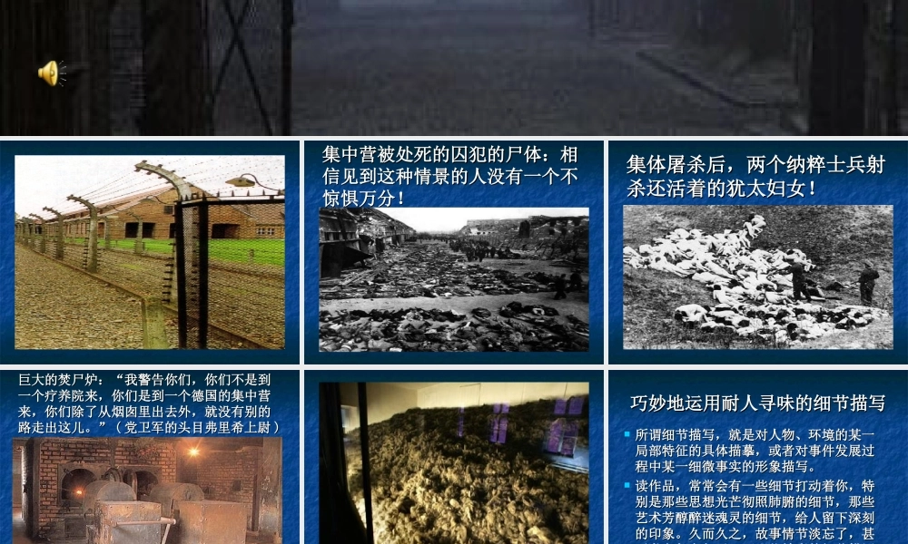 奥斯威辛没有什么新闻骨干版