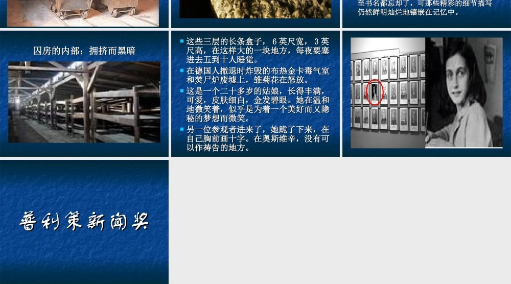 奥斯威辛没有什么新闻骨干版