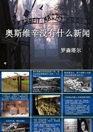 奥斯威辛没有什么新闻骨干版