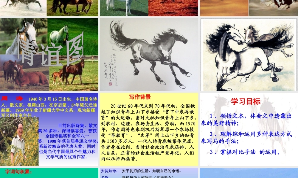 巩乃斯的马课件1
