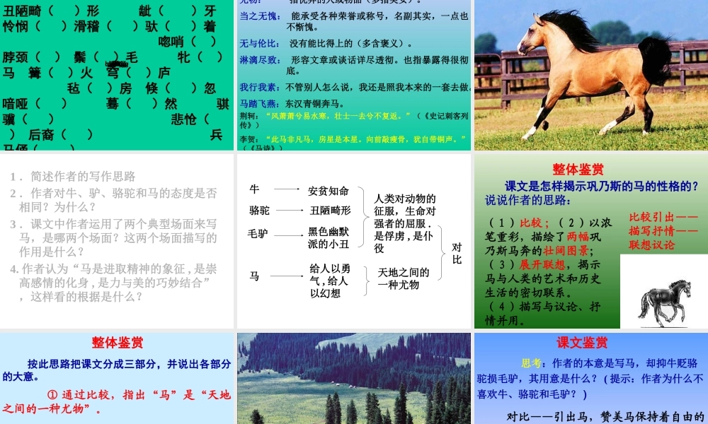 巩乃斯的马课件1
