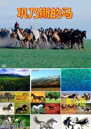 巩乃斯的马课件1