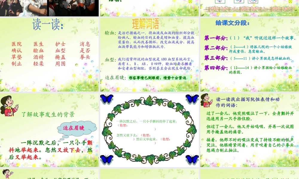 《她是我的朋友》课件
