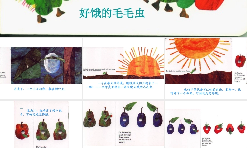 好饿的毛毛虫x