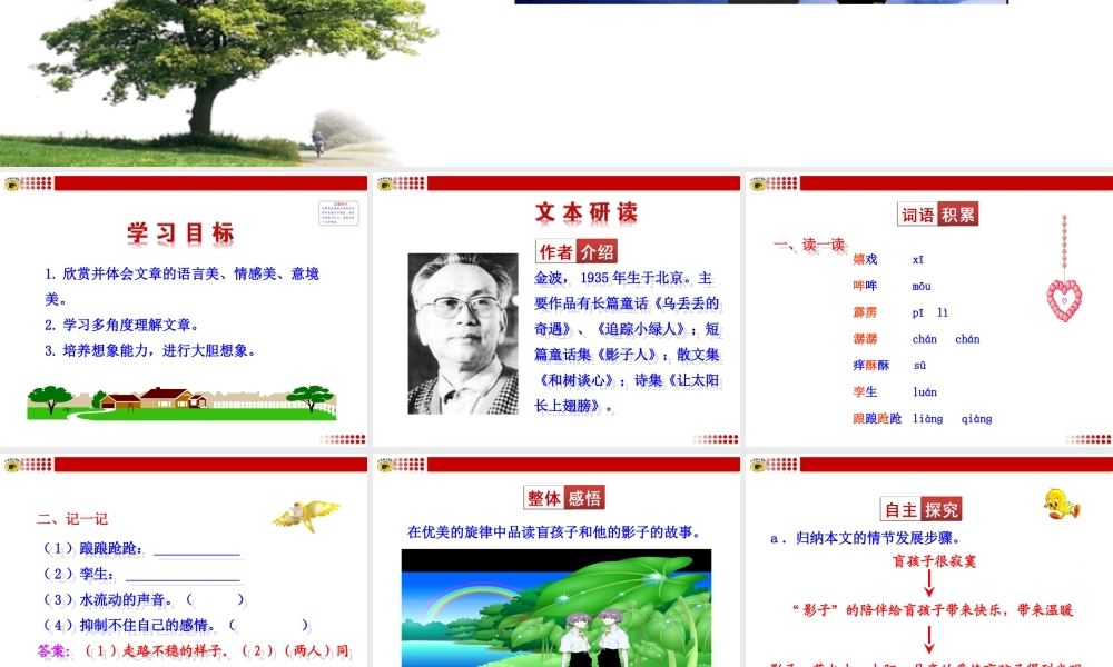 ﹡盲孩子和他的影子