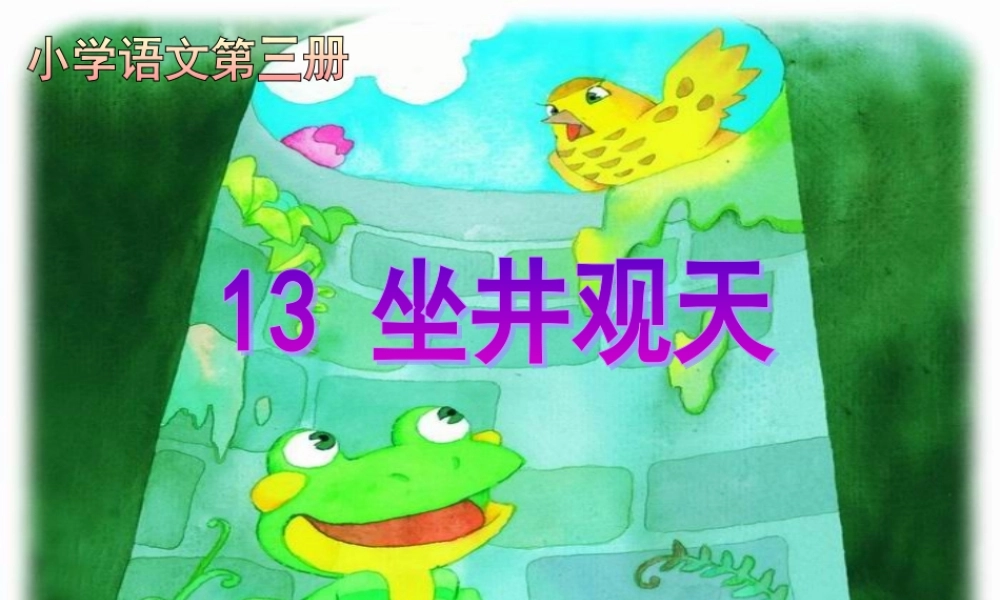 坐井观天 (3)