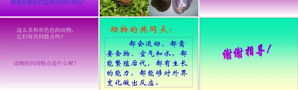 鄂教版小学科学五年级下册《形形色色的动物》PPT课件