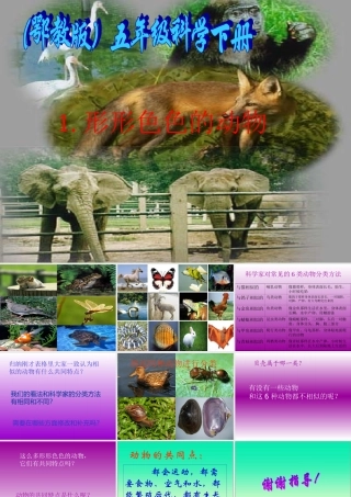 鄂教版小学科学五年级下册《形形色色的动物》PPT课件