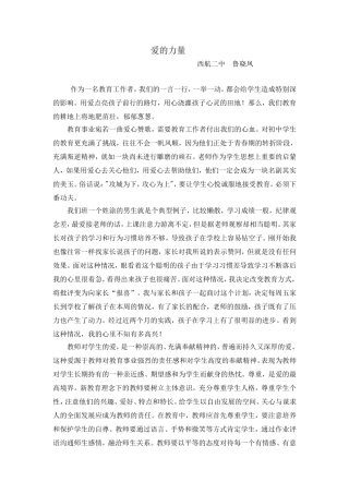 爱的力量鲁晓凤