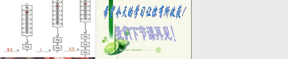 怎样测量和表示力