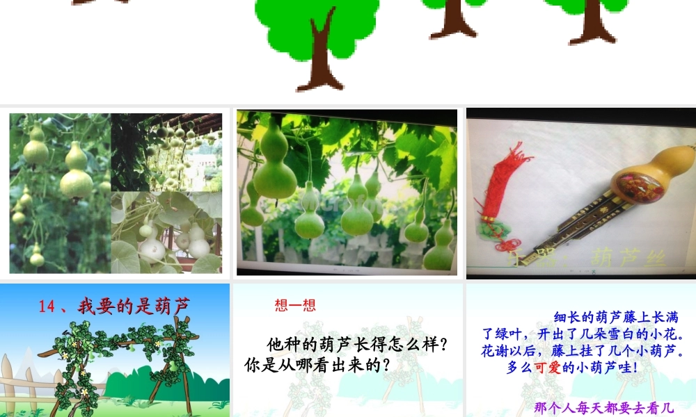 我要的是葫芦 ()