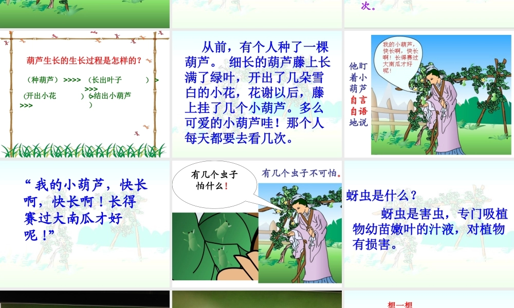 我要的是葫芦 ()